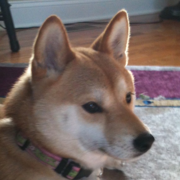 Meet your Posher, Stacy - Picture 1 of 3